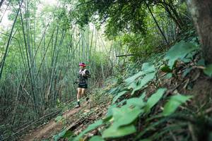 BIB: 
                            <button type="button" onclick="openModal(28159576)" class="btn btn-primary btn-sm float-right btn-popup" data-toggle="modal" data-target=".modal-high-quality">
                        <i class="fas fa-shopping-cart"></i> Add to Cart
                    </button>
                                            <button type="button" onclick="isThisMe(28159576, true)" class="btn btn-success btn-sm float-right btn-popup btn-isme hidden" data-toggle="tooltip" data-placement="bottom" title="นี่คือรูปของคุณใช่ไหม คลิกที่นี่เพื่อเอาเข้าอัลบั้ม">
                        <i class="fas fa-plus"></i> Add to album
                    </button>
                    <button type="button" onclick="isThisMe(28159576, false)" class="btn btn-warning btn-sm float-right btn-popup btn-isnotme hidden">
                        <i class="fas fa-ban"></i> Remove from album
                    </button>